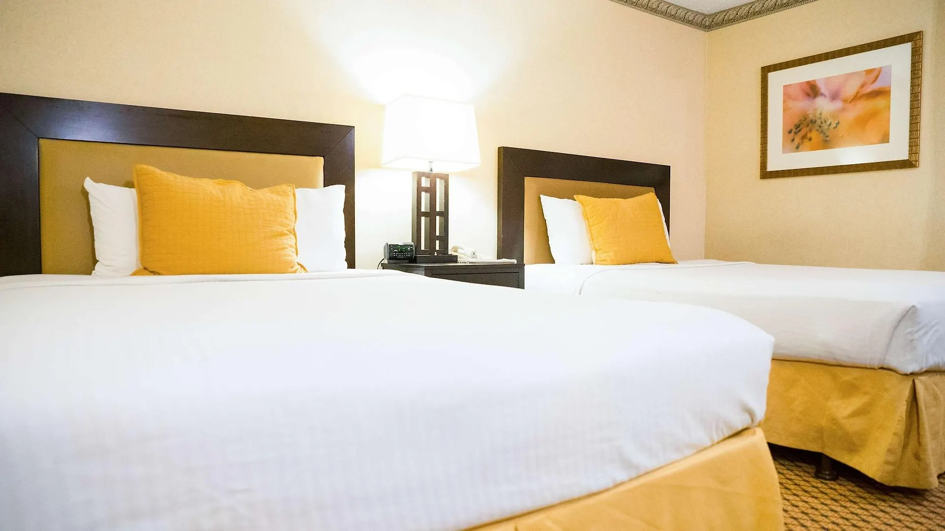 Motel 6 - Anaheim Hills, Ca Hotel